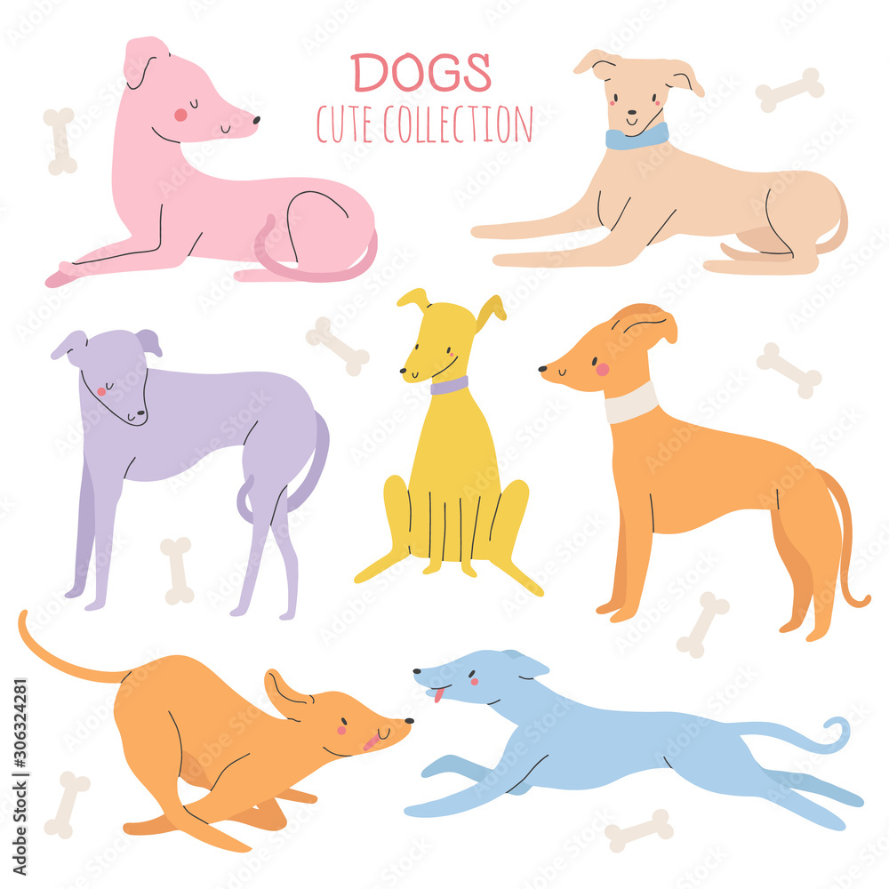 Super cute set - Vector different Dogs collection. Hand drawn pets characters with different emotions.