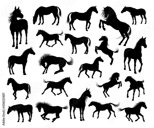 A set of high quality very detailed horses in silhouette in various poses and positions