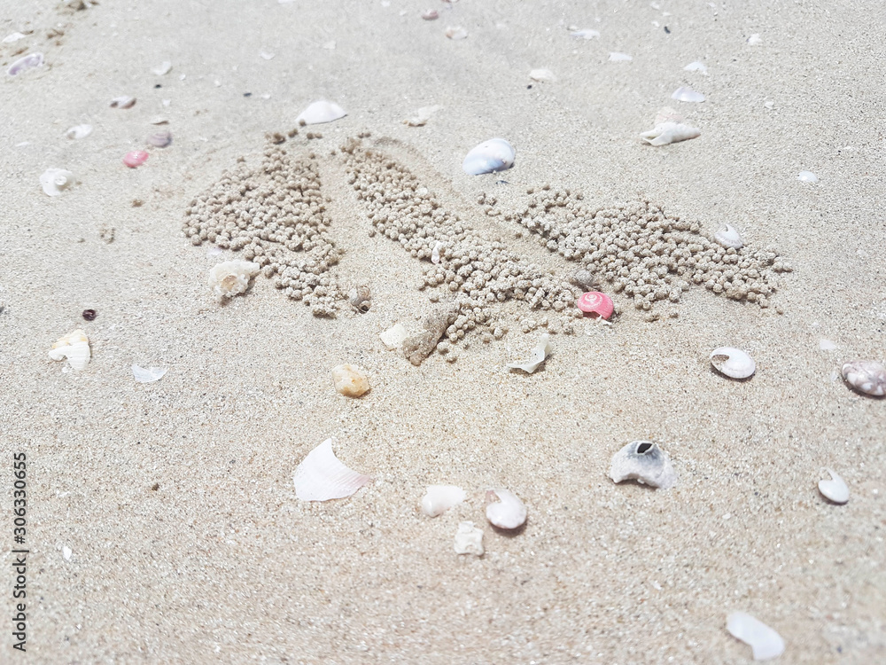 Small multicolored shells are laid on the sand at the beach, near the sea. Small multicolored shells are laid on the sand at the beach, near the sea.