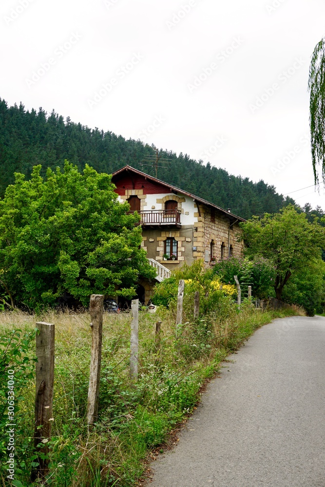 road with green trees in the mountain in the nature road with green trees in the mountain in the nature