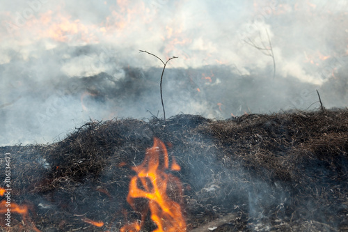 Big fire in the field. photo