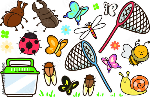 Summer bugs with nets and box set