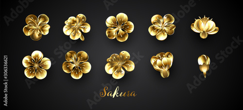 Set of golden sakura flowers