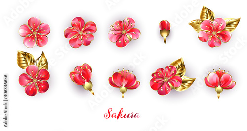 Set of red sakura flowers