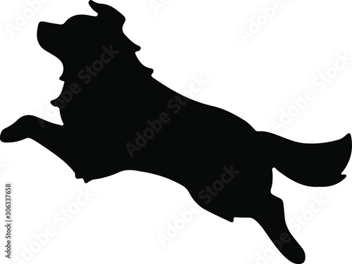 Border Collie side jumping silhouette