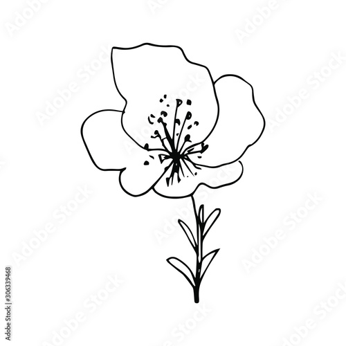 Hand drawn creative flower. White background. Ink doodle illustration. Hand-drawn vintage, minimalistic black flower. Beautiful vector illustration.