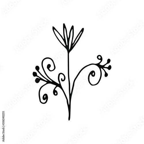 Hand drawn creative flower. White background. Ink doodle illustration. Hand-drawn vintage, minimalistic black flower. Beautiful vector illustration.