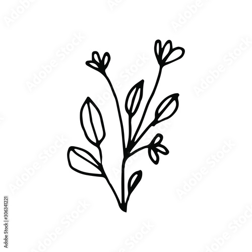 Hand drawn creative flower.  White background. Ink doodle illustration. Hand-drawn vintage  minimalistic black flower. Beautiful vector illustration.