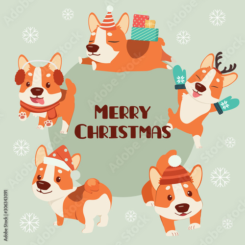 The collection of cute corgi dog wear christmas costume theme set. The character of cute corgi dog wear a winter hat and party hat and deer horn and winter glove. The cute corgi dog in flat vector.
