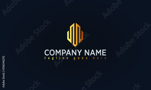 Company Gold Logo Design, Luxury Gold Concept Logo,