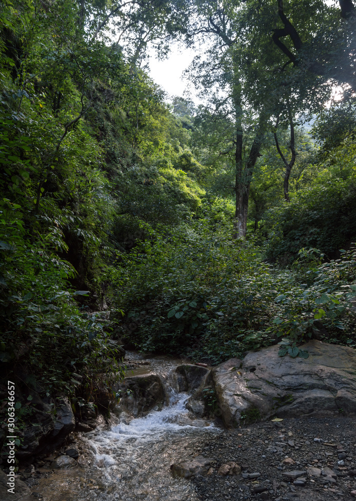 Small rapids on a trail to Patna Waterfall in Rishikesh, India Small rapids on a trail to Patna Waterfall in Rishikesh, India