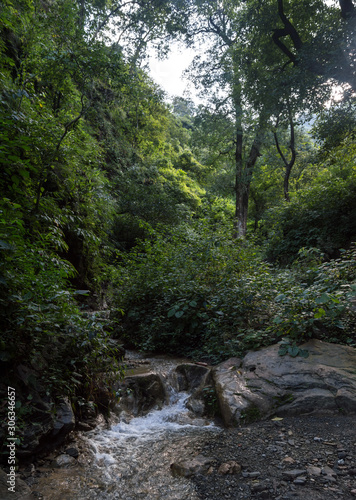 Small rapids on a trail to Patna Waterfall in Rishikesh, India