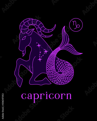 a beautiful and elegant capricorn zodiac sign vector