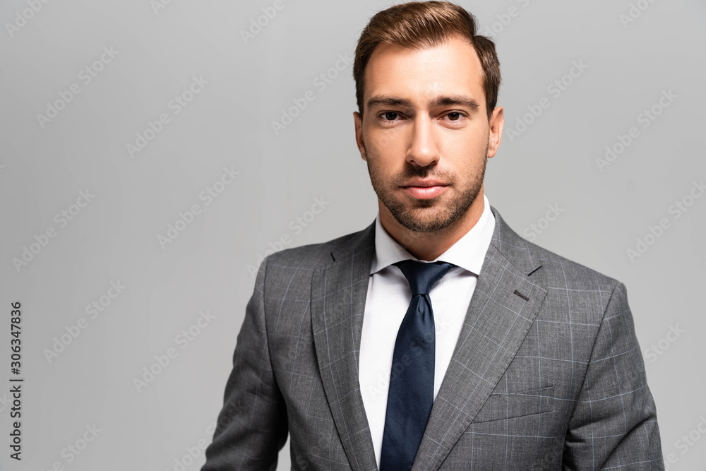 handsome businessman in suit looking at camera isolated on grey handsome businessman in suit looking at camera isolated on grey
