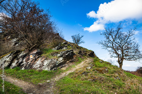 Landschaft in der Eifel, Traumpfade, Nette-Schieferpfad