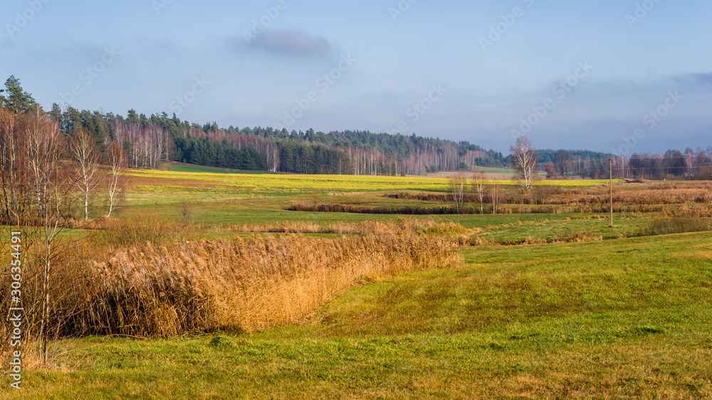 Krajobraz Podlasia, Wzgórza Sokólskie, Jesień na Podlasiu