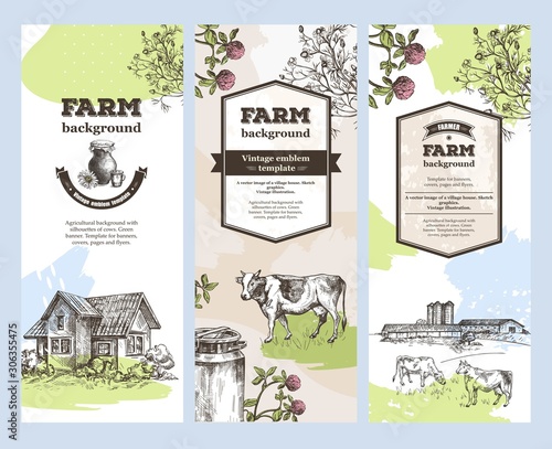 Set of agricultural banners. Agricultural backgrounds. Vintage illustrations. Sketch graphics.