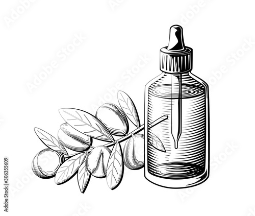 Argan oil bottle illustration. Essential oil glass bottle and argan branch in black and white.