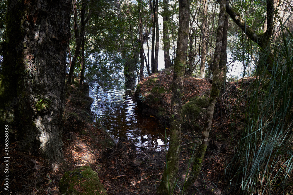 Scenes from Corinna and the Tarkine Ranges, Tasmania, Australia Scenes from Corinna and the Tarkine Ranges, Tasmania, Australia