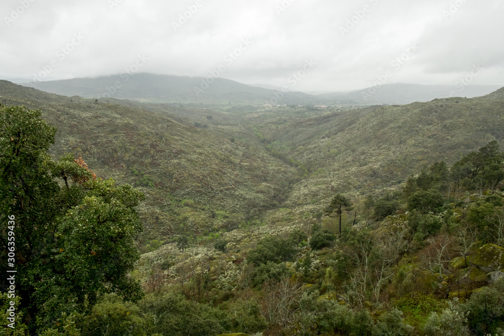 Fototapeta premium montanha