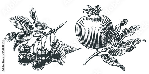 Cherries and pomegranate set. Hand drawn engraving style illustrations.