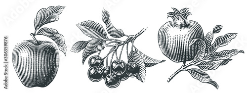 Cherries, apple and pomegranate set. Hand drawn engraving style illustrations.