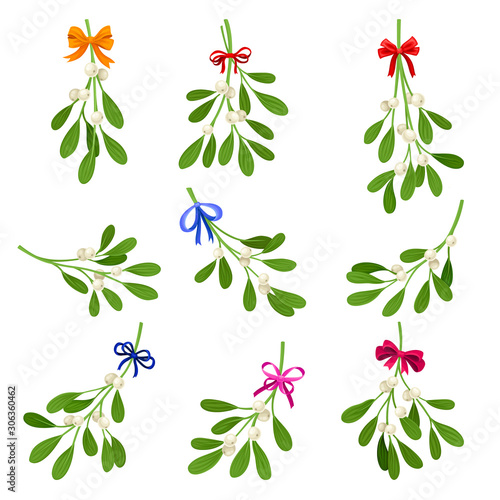 Mistletoe Branches Tied With Ribbon Vector Set