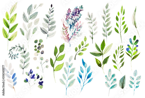 Watercolor set with different leaves. 