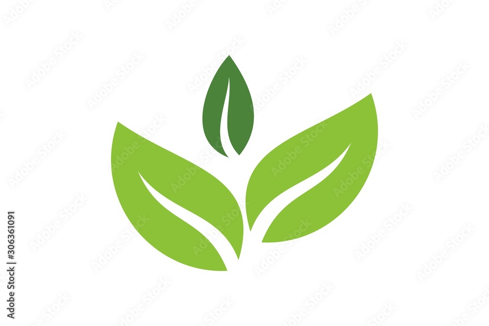 Leaves icon vector set isolated on white background. Various shapes of green leaves of trees and plants. Elements for eco and bio logo Leaves icon vector set isolated on white background. Various shapes of green leaves of trees and plants. Elements for eco and bio logo