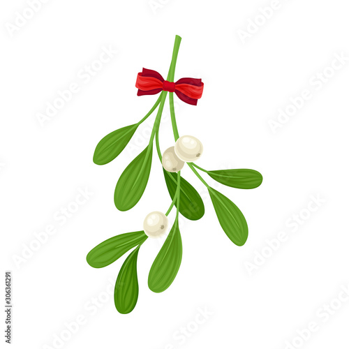 Mistletoe Branch Tied With Ribbon Vector Item