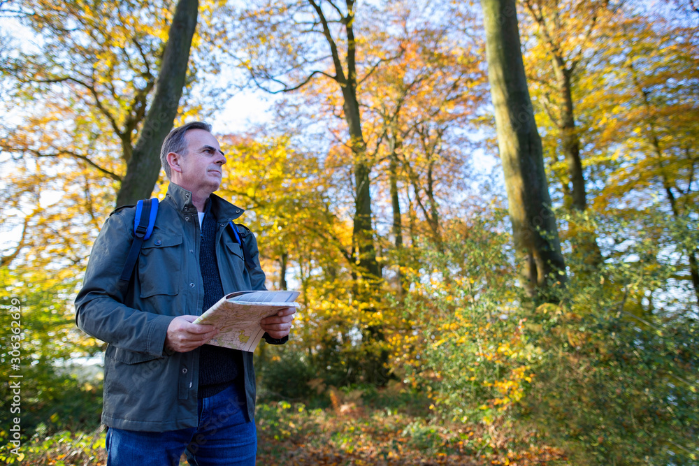 Fototapeta premium Active Mature Man With Map Walking Through Autumn Woodland In Slow Motion