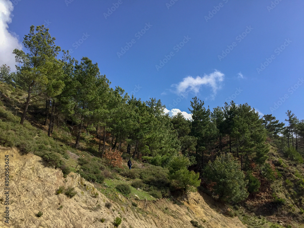 Blue sky white clouds on the hill, trees, nature Blue sky white clouds on the hill, trees, nature