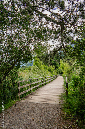 Uferweg von Unterseen nach Interlaken     Thunersee  Schweiz