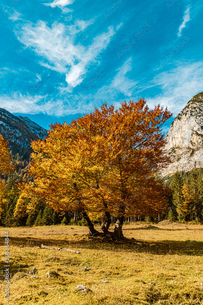 Fototapeta premium Beautiful alpine autumn or indian summer view at the famous Big Maple Ground, Tyrol, Austria