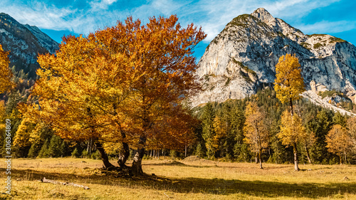 Beautiful alpine autumn or indian summer view at the famous Big Maple Ground, Tyrol, Austria