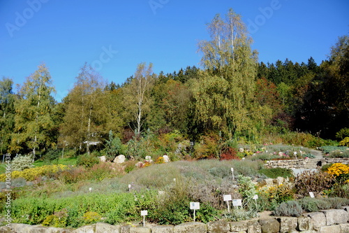 Altenau im Westharz, Kräutergarten photo