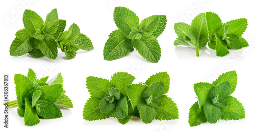 Kit leaves mint. Still life and set of herbs for packing. Isolated on white background. photo