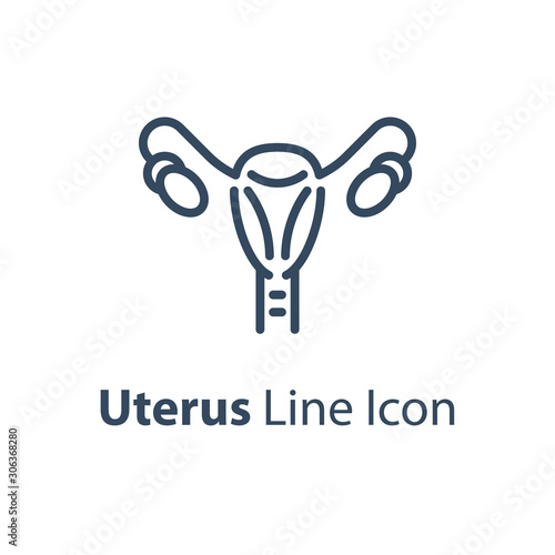 Human internal organ, female reproductive system, healthy ovary, gynecology concept