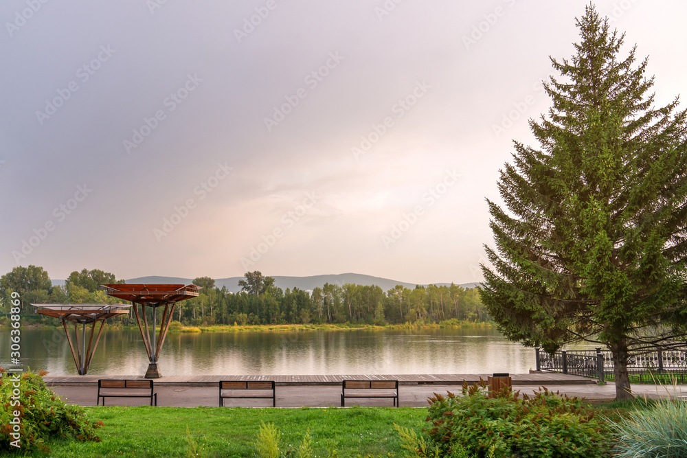 view of the Yenisei Bayou in Krasnoyarsk and the embankment, the design of the coastline. pine trees, greenery, vegetation and benches, beautiful view, evening landscape. Sunset in Siberia