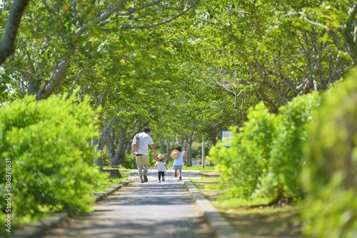 新緑の公園で過ごす家族の風景