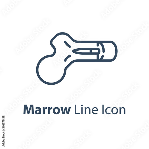 Human internal organ, marrow diagram, vector line icon