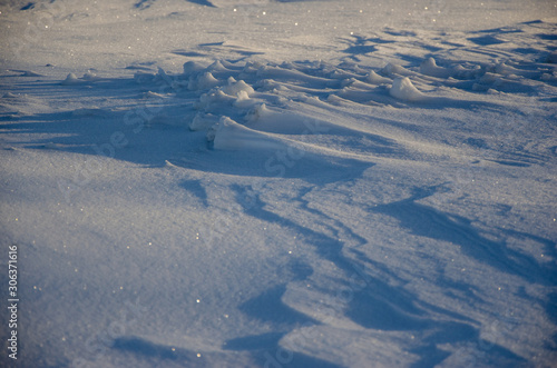 Snowy landscape