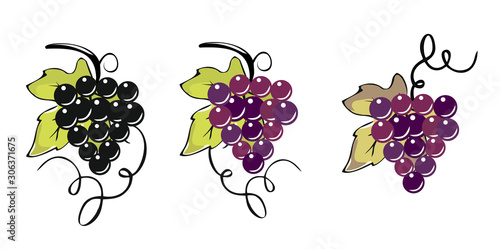 GRAPES WINE UVA GRAPPOLO VINO VINTAGE RED