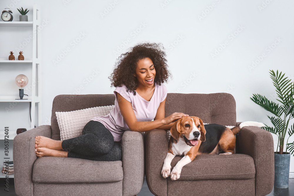 Beautiful African-American woman with cute dog at home Beautiful African-American woman with cute dog at home
