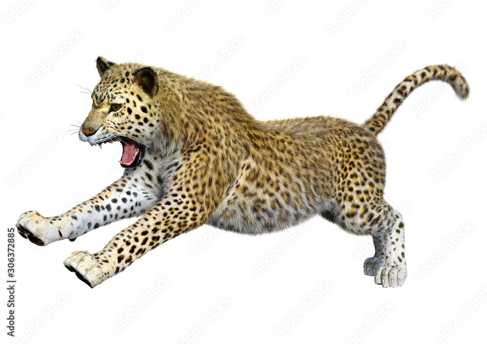 Naklejka premium 3D Rendering Big Cat Leopard on White
