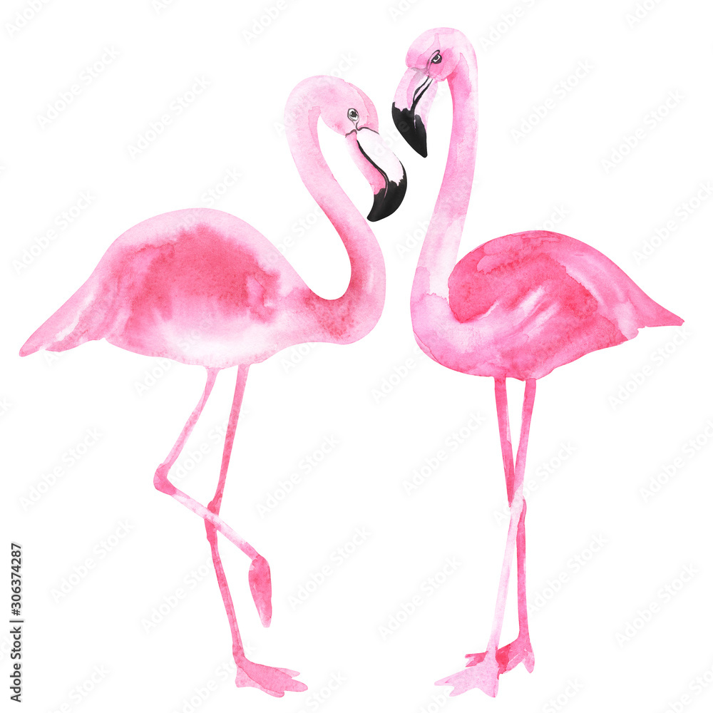 Obraz premium Watercolor pink flamingo on an isolated white background, watercolor drawing. Stock illustration.