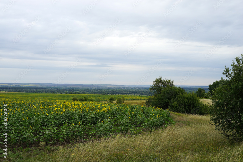 landscape, field, outdoor, road, nature, sky, summer, landscape, field, outdoor, road, nature, sky, summer,