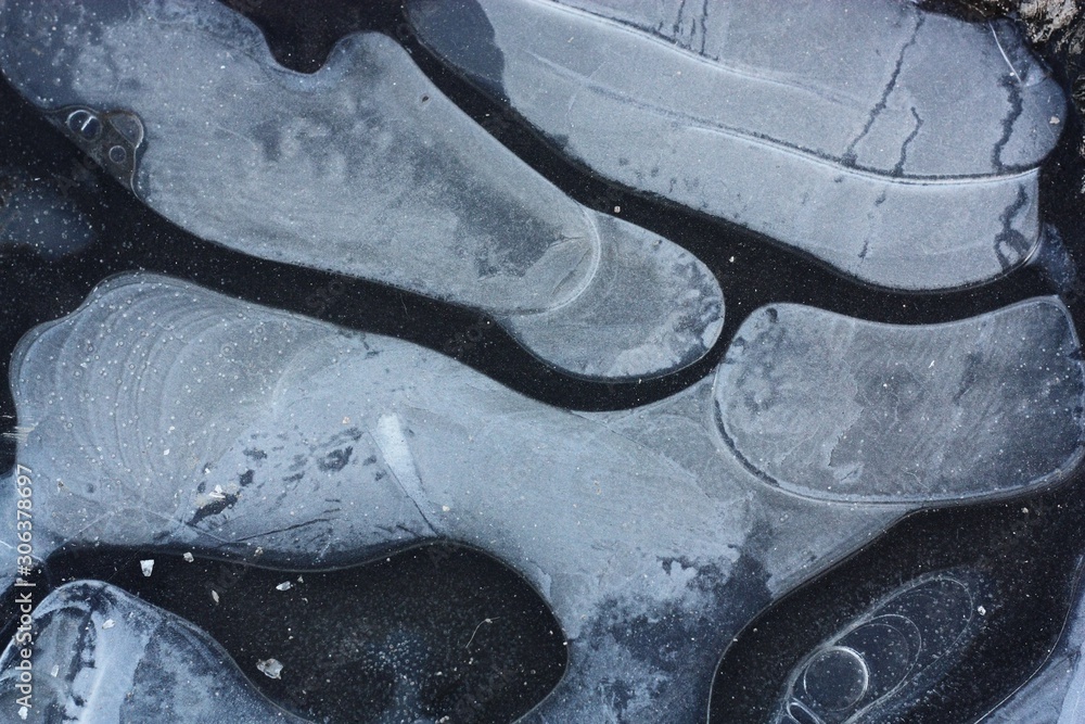 Obraz premium Frozen puddle with beautiful pattern in the forest