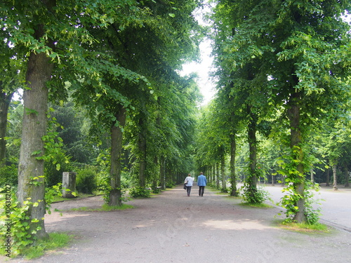 A local man and woman walking along a tree-lined street filled with greenery, Dusseldorf, Germany