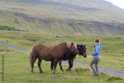 Two horses in a meadow in the mountains of Iceland, facing a young woman in fall colors